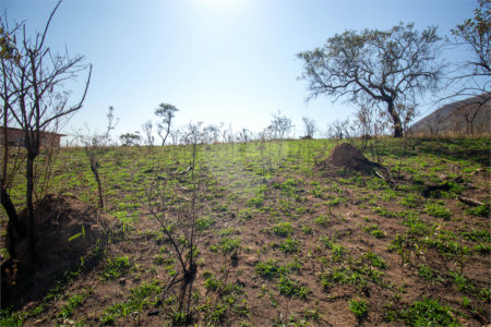 Terreno à venda em Recanto das Acácias, São Roque, SP