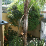 Sobrado à venda ou para alugar com 4 suítes em Vila Paulicéia, São Paulo, SP