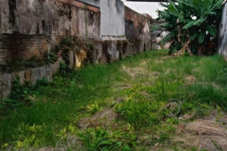 Terreno para alugar, 325 m² por R$ 14.356,00/mês - José Menino - Santos/SP