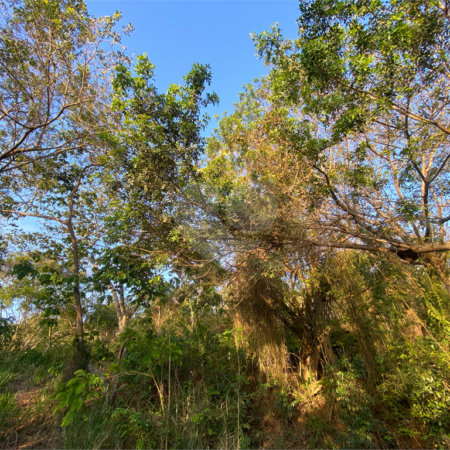 Terreno à venda em Albatroz, Armação dos Búzios, RJ