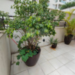 Apartamento Garden na Mooca com 322m² com 4 dormitórios 5 vagas Estuda Permuta