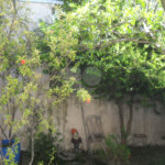 Sobrado à venda ou para alugar com 3 suítes em Vila Mascote, São Paulo, SP