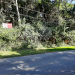 Terreno à venda em Serra da Cantareira, Mairiporã, SP