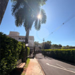 Apartamento à venda com 2 quartos em Vila Abranches, Ribeirão Preto, SP