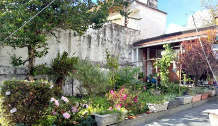 Casa Térrea à venda com 3 quartos, sendo 1 suíte,  em Vila Paulicéia, São Paulo, SP