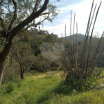 Sítio à venda em Chácara São João, Campo Limpo Paulista, SP