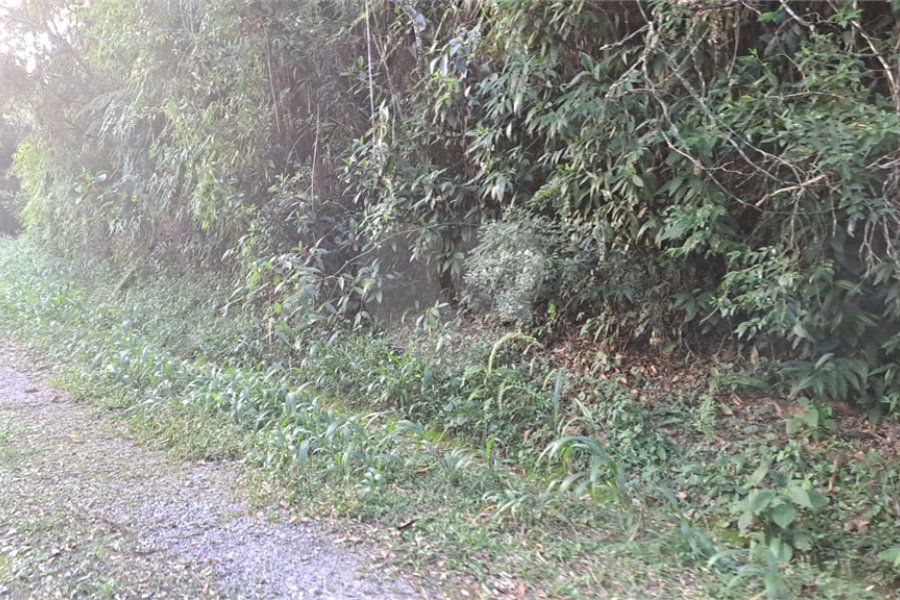Terreno à venda no condomínio Associação Reserva das Hortênsias, Mairiporã - SP
