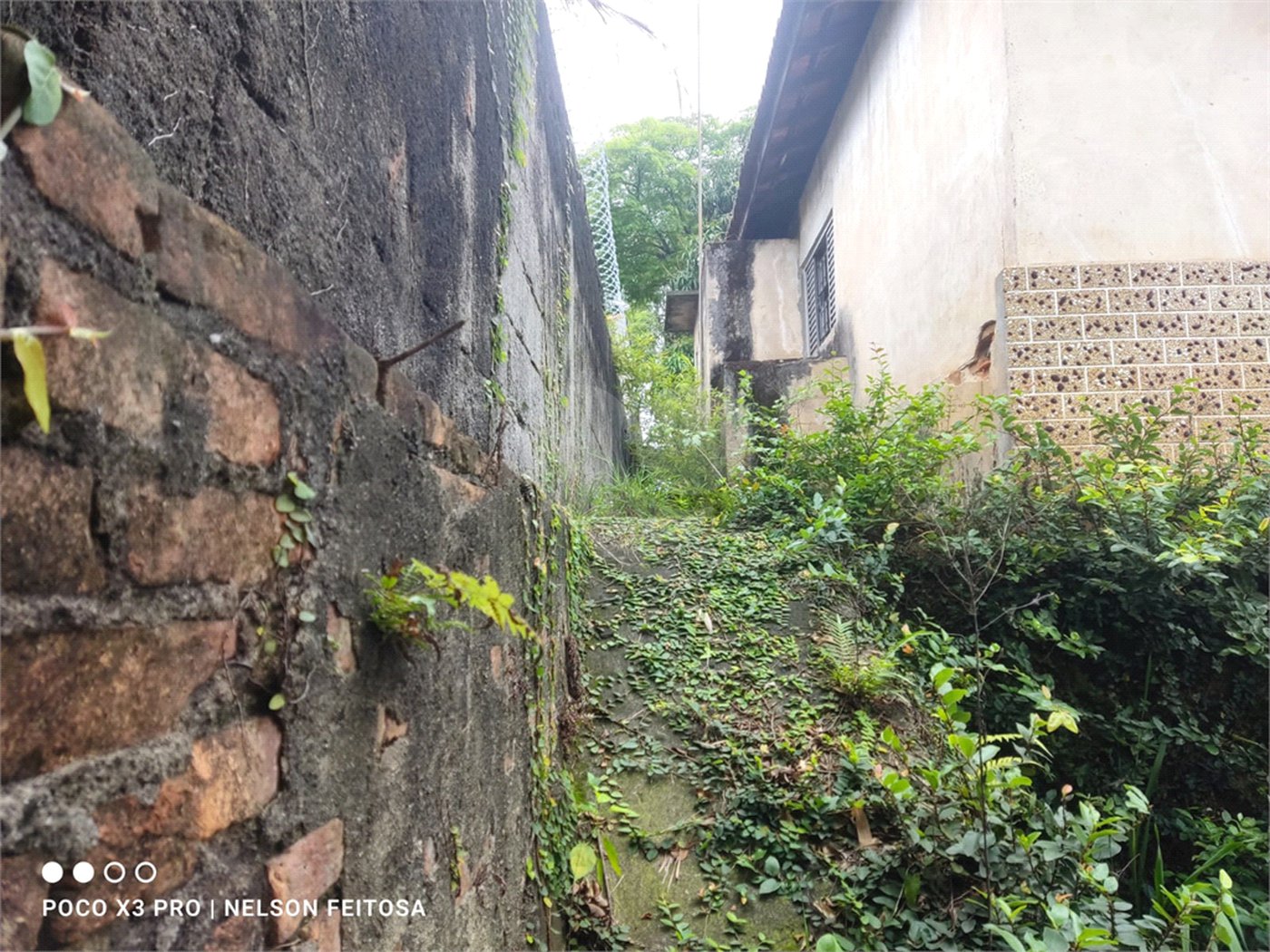 Terreno à venda em Vila Mazzei, São Paulo, SP