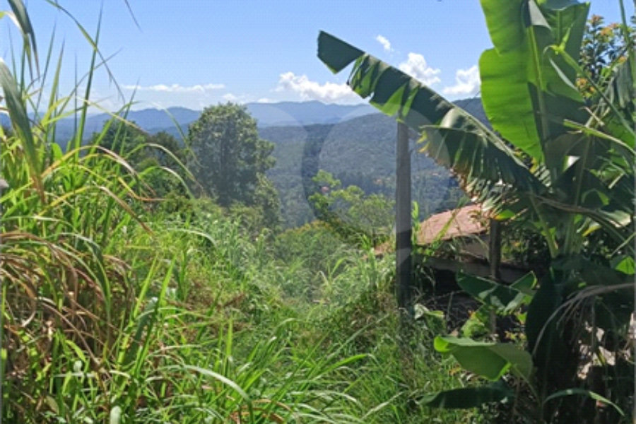 Terreno à venda em Luiz Fagundes, Mairiporã, SP
