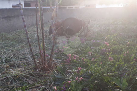 Terreno à venda em Campo Grande, Rio de Janeiro, RJ
