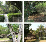 Casa para alugar com 4 suítes no condomínio Vinhas da Vista Alegre - Lado Café, Vinhedo - SP