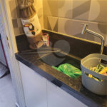 Apartamento à venda com 1 quarto em Vila Dom Pedro Ii, São Paulo, SP