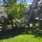 Casa à venda com 4 quartos, sendo 2 suítes, em Pirituba, São Paulo, SP
