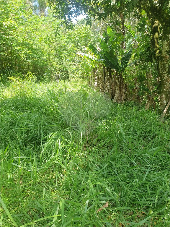 Terreno à venda em Vila Moraes, Mogi das Cruzes, SP
