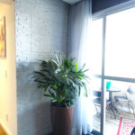 Apartamento à venda com 3 quartos, sendo 1 suíte, em Jaçanã, São Paulo, SP
