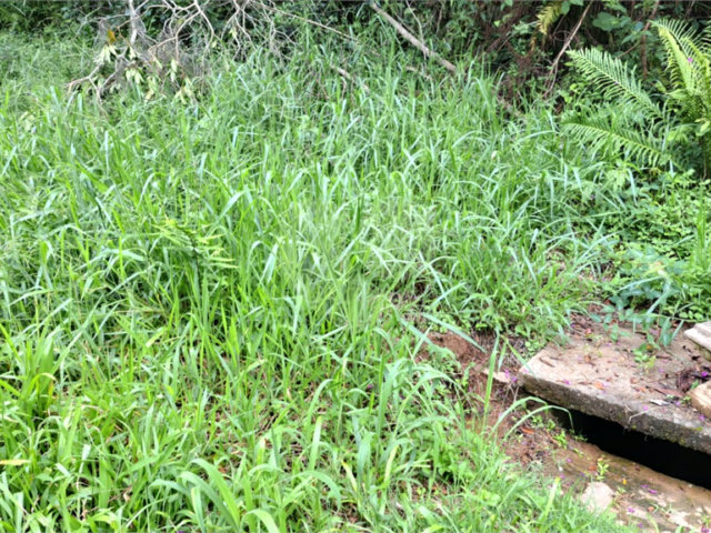 Terreno à venda no condomínio Campos de Mairiporã Gleba 1, Mairiporã - SP