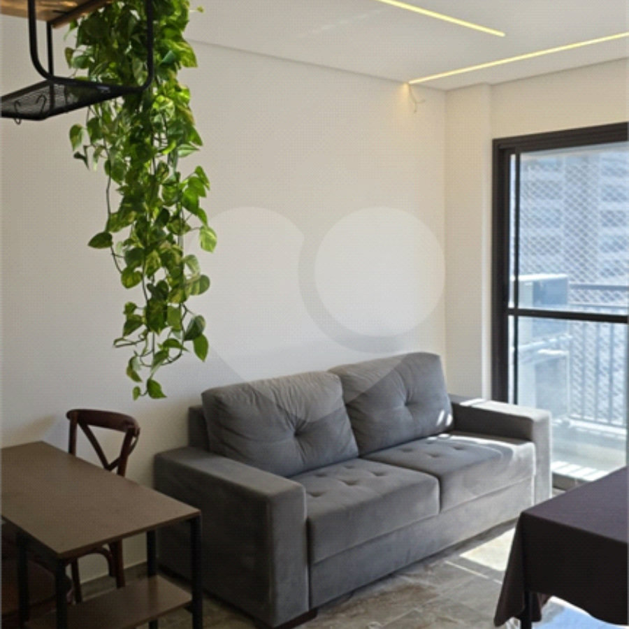 Studio para alugar com 1 quarto em Vila Santa Catarina, São Paulo, SP