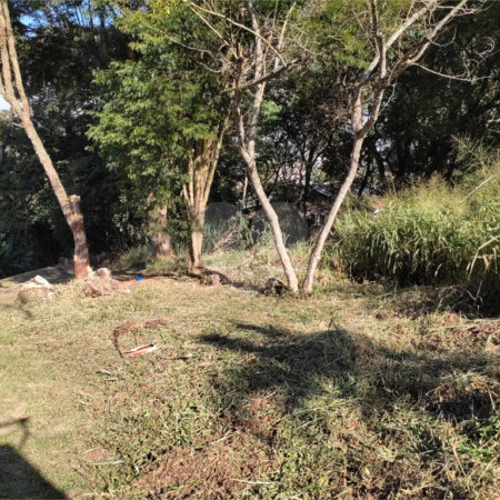 Terreno à venda em Tucuruvi, São Paulo, SP