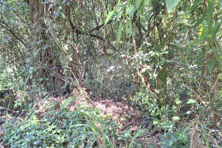 Terreno à venda no condomínio Alpes da Cantareira, Mairiporã - SP