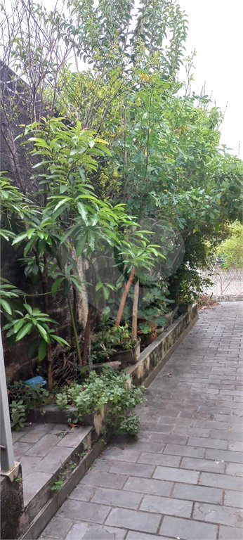 Casa à venda com 3 quartos, sendo 1 suíte, em Pirituba, São Paulo, SP