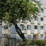 Apartamento à venda com 3 quartos em Conjunto Residencial Butantã, São Paulo, SP