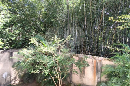 Sobrado à venda com 4 suítes em Barro Branco (zona Norte), São Paulo, SP