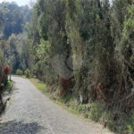 Terreno à venda em Serra da Cantareira, Mairiporã, SP