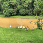 Terreno à venda no condomínio Reserva Bom Viver, Campo Limpo Paulista - SP