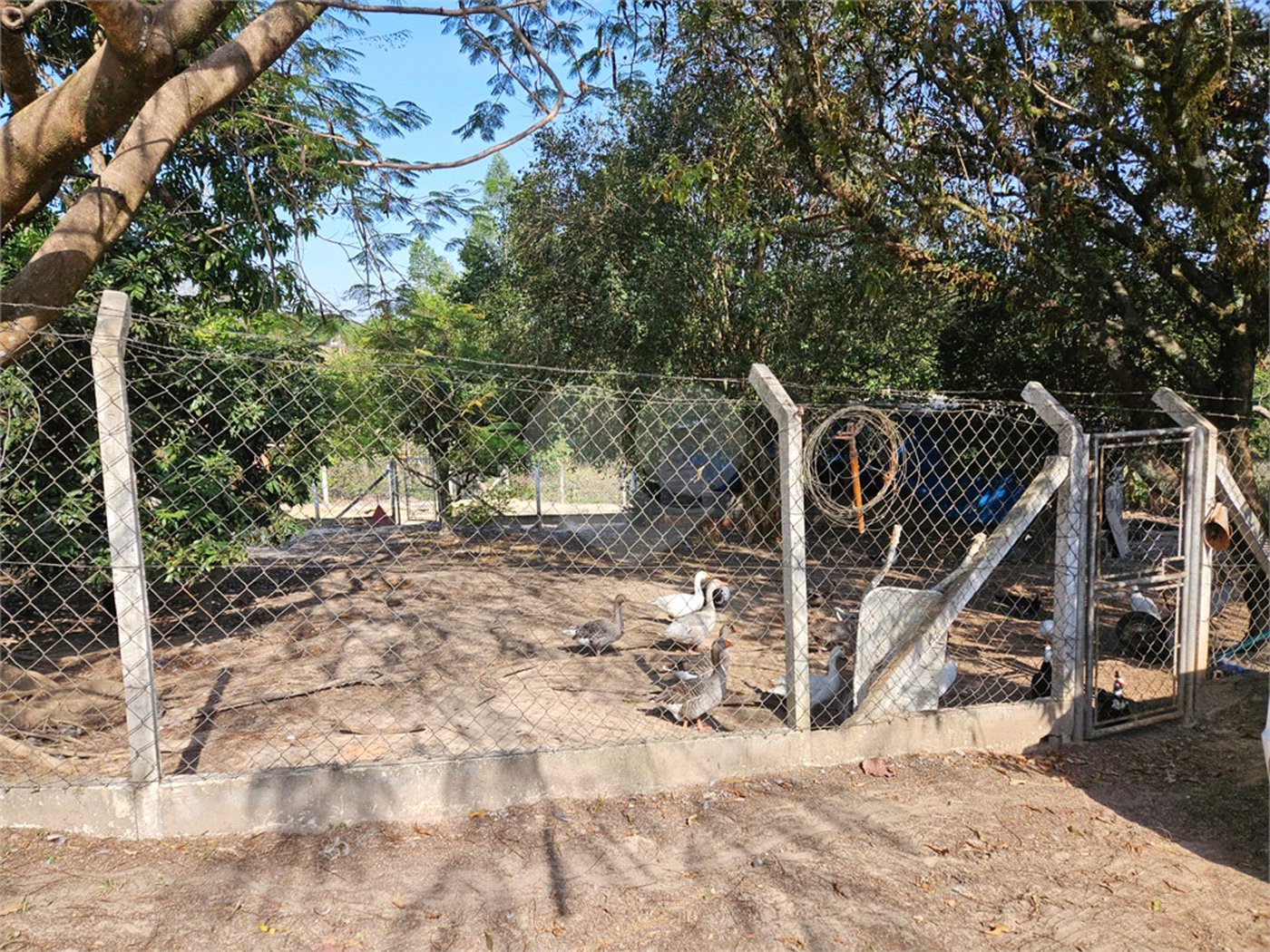 Sítio à venda em Mato Dentro, Indaiatuba, SP