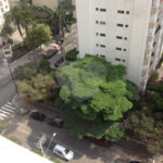 Apartamento à venda com 3 quartos, sendo 1 suíte,  em Indianópolis, São Paulo, SP