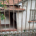 Terreno à venda com 1 suíte em Vila Gustavo, São Paulo, SP
