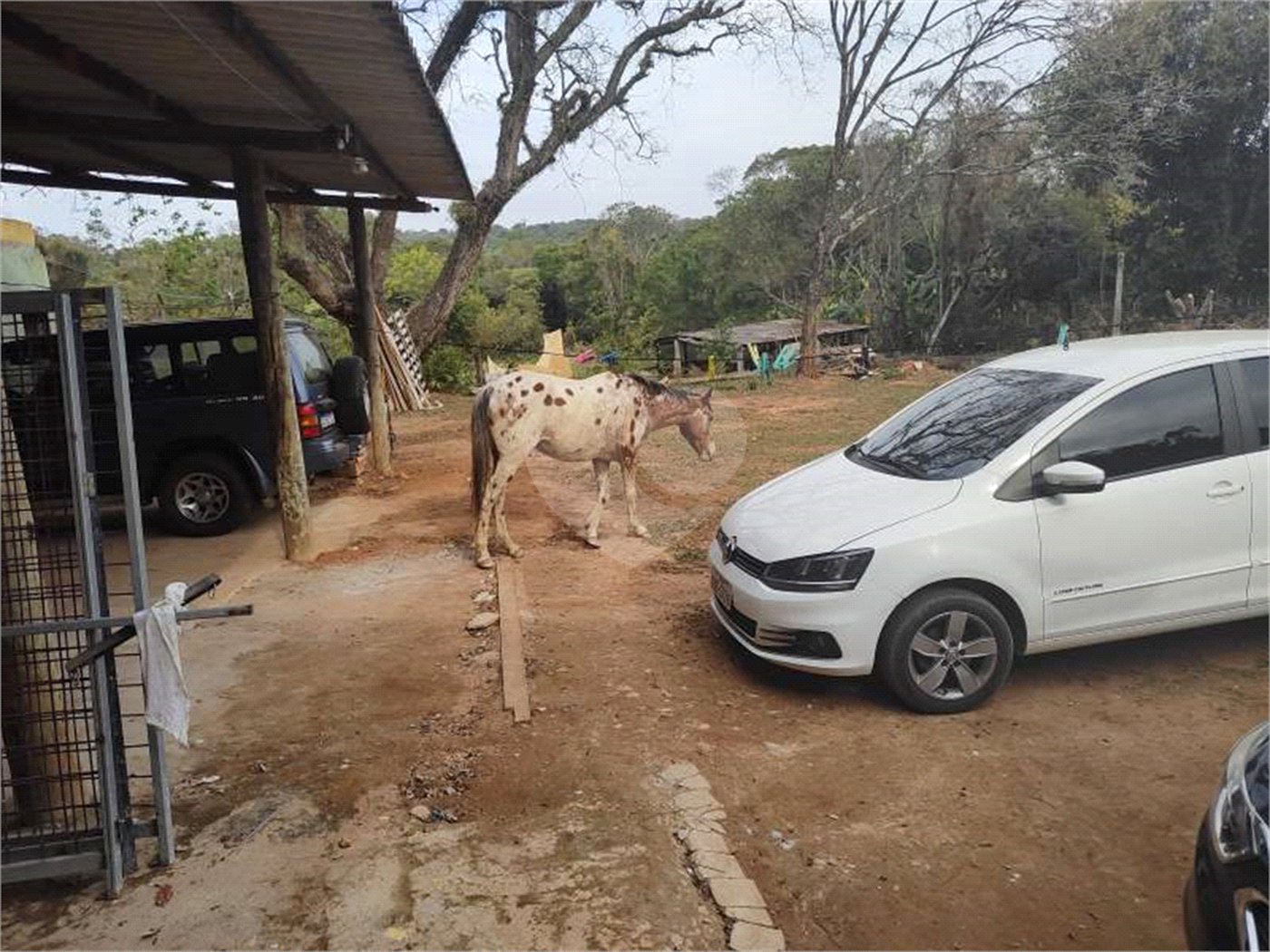 Sítio à venda com 3 quartos, sendo 2 suítes,  em Cachoeira, Atibaia, SP