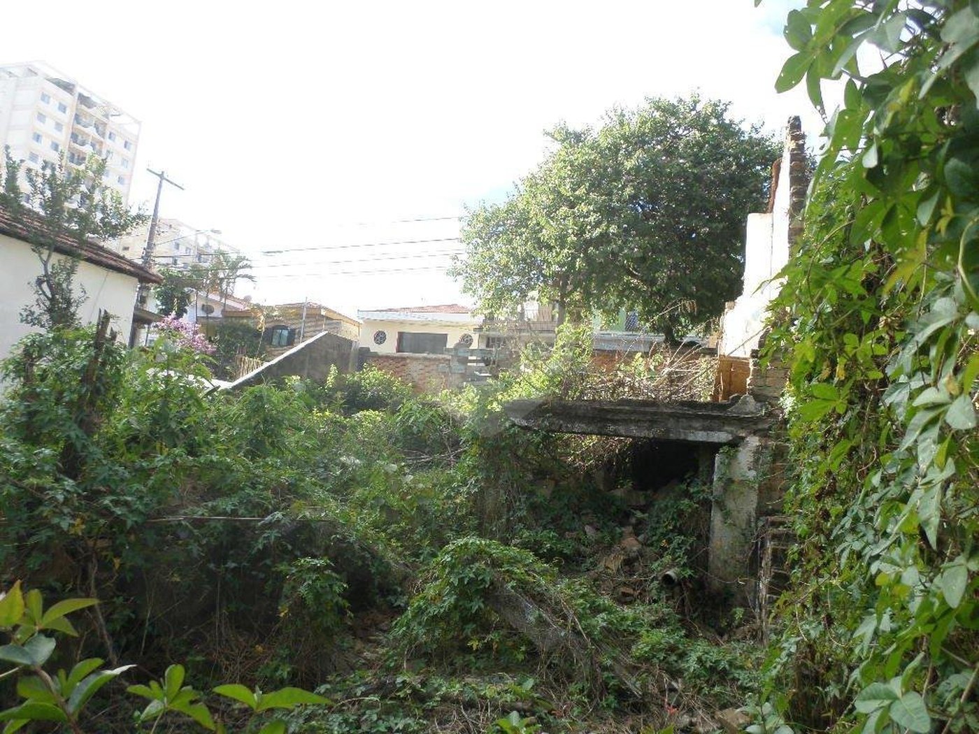 Terreno à venda ou para alugar em Água Fria, São Paulo, SP