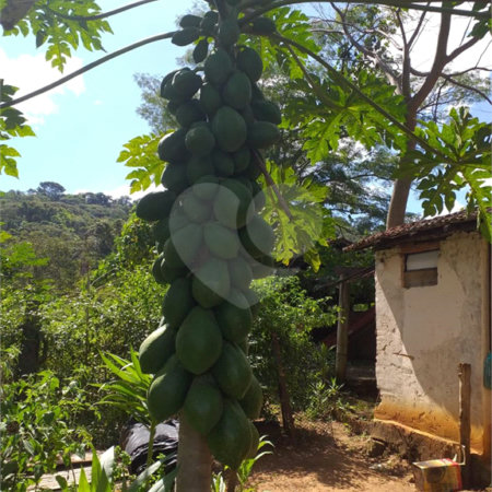 Sítio à venda com 2 quartos no Centro, Descalvado, SP