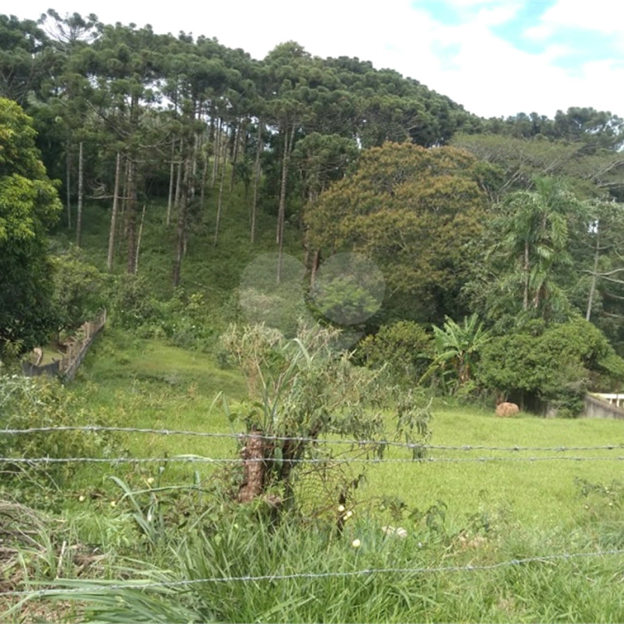 Terreno à venda em Chácara Fernão Dias, Bragança Paulista, SP