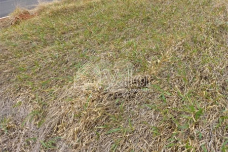 Terreno plano no Condomínio Villeneuve, com 250,00 m² de área total.