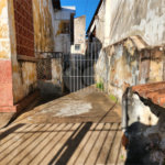 Casa à venda com 4 quartos em Vila Xavier (vila Xavier), Araraquara, SP