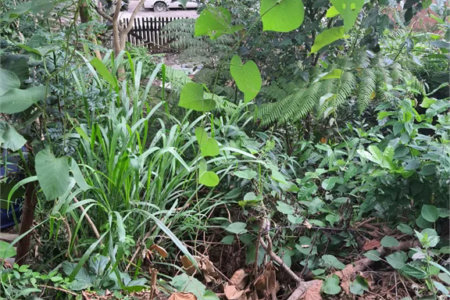 Loteamento à venda em Jardim Amália, São Paulo, SP