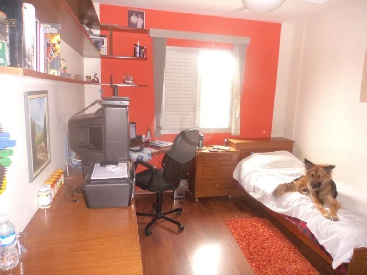 Apartamento à venda com 3 quartos, sendo 1 suíte, em Tucuruvi, São Paulo, SP