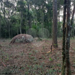 Terreno à venda em Roseira, Mairiporã, SP