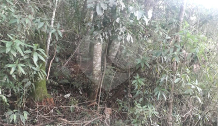 Terreno à venda em Suasalito, Mairiporã, SP