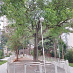 Apartamento à venda com 2 quartos em Jardim Esmeralda, São Paulo, SP