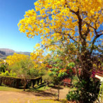 Casa Térrea à venda com 3 quartos, sendo 1 suíte, em Mirante do Cachoeira, Piracaia, SP