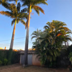Casa à venda com 2 suítes em Jardim Eliana, Araraquara, SP