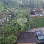 Apartamento à venda com 2 quartos em Jardim Pinheiros, São Paulo, SP