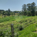Terreno à venda em Estância Hidromineral Santa Eliza, Itupeva, SP