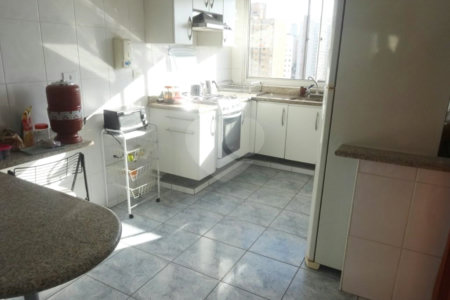 Apartamento à venda com 2 suítes em Cambuci, São Paulo, SP