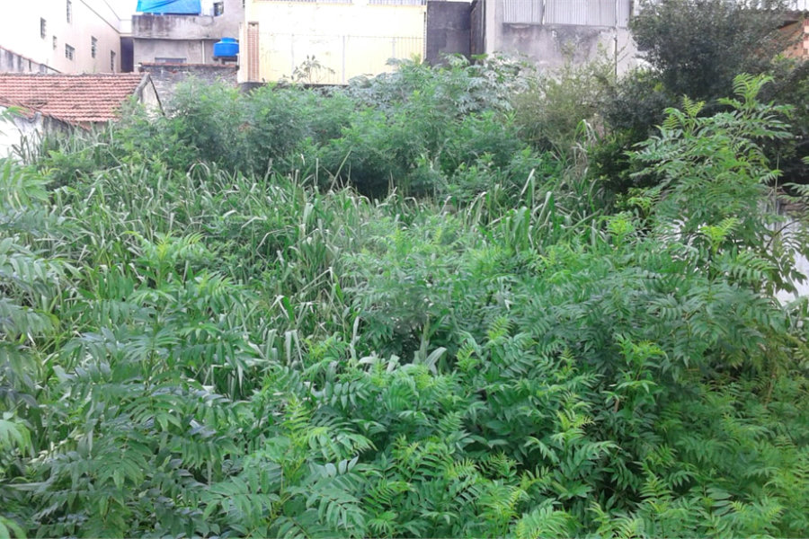 Terreno à venda em Imirim, São Paulo, SP