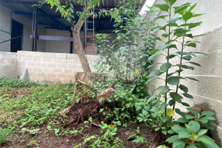 Casa à venda com 3 suítes no Centro, Vinhedo, SP