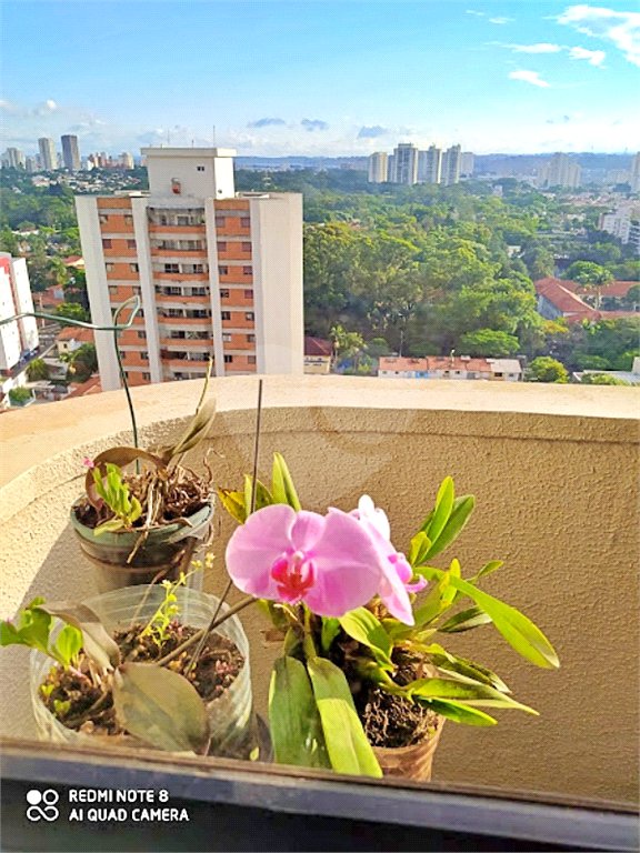 Apartamento à venda ou para alugar com 2 quartos em Chácara Santo Antônio (zona Sul), São Paulo, SP